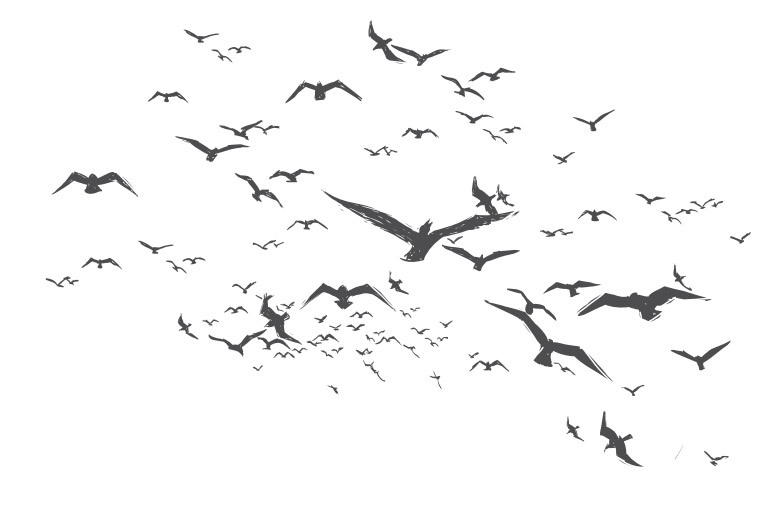 A black and white artistic drawing of a flock of birds in flight.